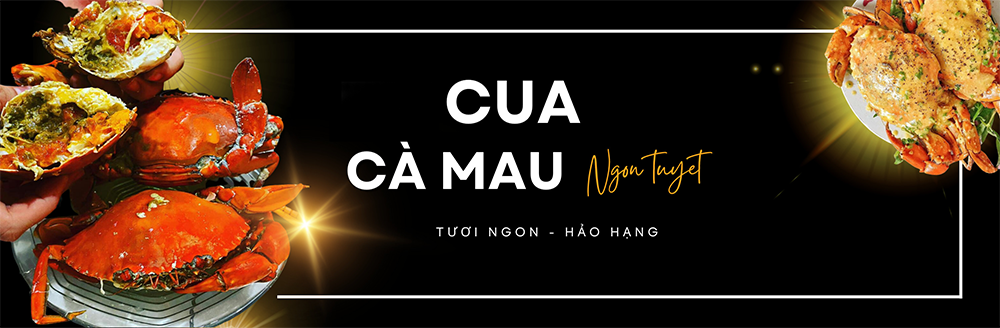 Chuyên cung cấp Cua Cà mau giá tốt, tươi ngon, chất lượng thịt hảo hạng